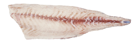 Oilfish fillet