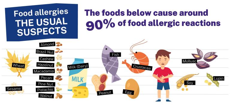  Image shows graphics of the most common allergens in a line up, as well as a carton boy clutching his stomach looking unwell. Text on the image says: Food allergies THE USUAL SUSPECTS. The foods below cause around 90% of food allergic reactions: Wheat, Sesame, Almond, Brazil Nut, Cashew, Hazelnut, Macadamia, Pecan, Pine Nut, Pistachio, Walnut, Milk (Dairy), Peanut, Fish, Egg, Crustacea, Soy Mollusc, Lupin.