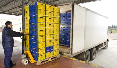 Food transport