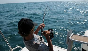 Recreational harvest of seafood