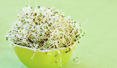 Sprouts